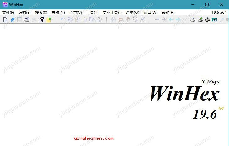 WinHex v19.6中文免费绿色版启动界面截图