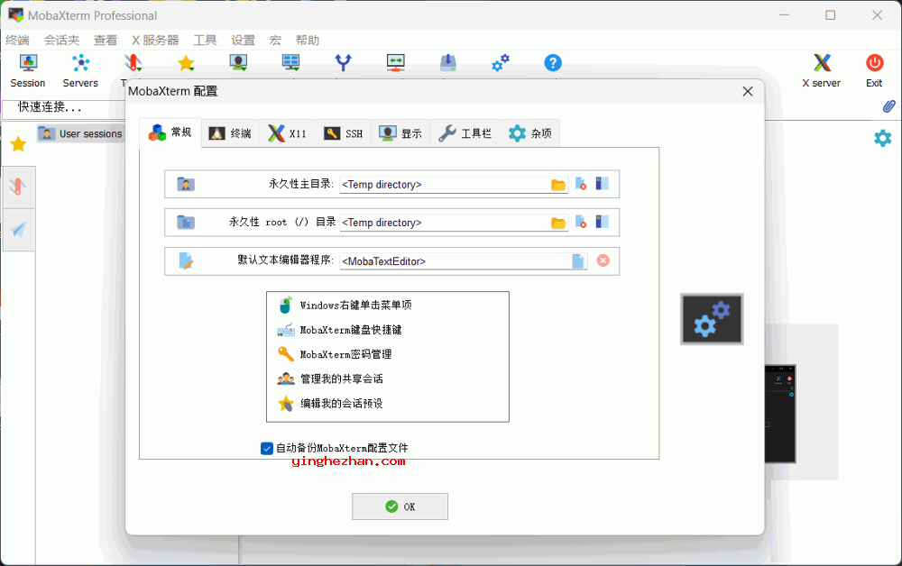 MobaXterm配置界面截图